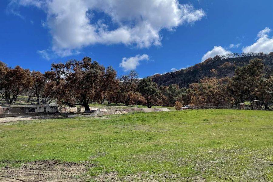 7 TRAMPA CANYON ROAD, CARMEL VALLEY, California 93924, ,Lots And Land,For Sale,TRAMPA CANYON ROAD,40963892