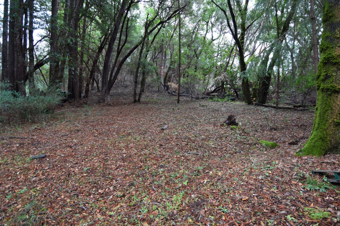 18140 China Grade Road, BOULDER CREEK, California 95006, ,Lots And Land,For Sale,China Grade Road,40963893