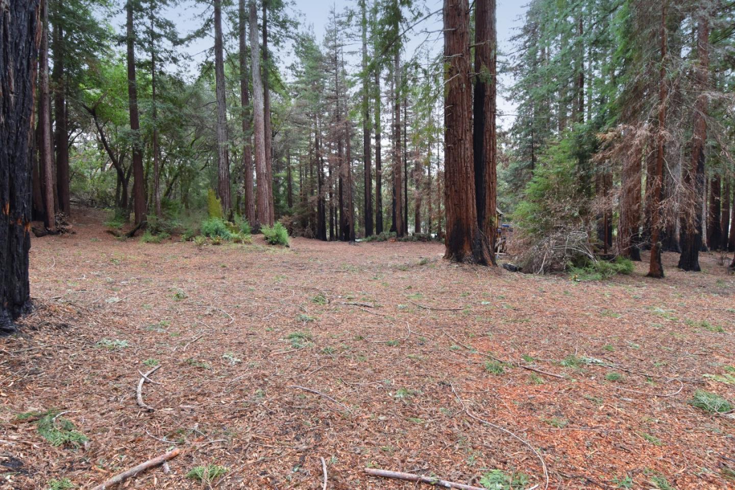 18140 China Grade Road, BOULDER CREEK, California 95006, ,Lots And Land,For Sale,China Grade Road,40963893