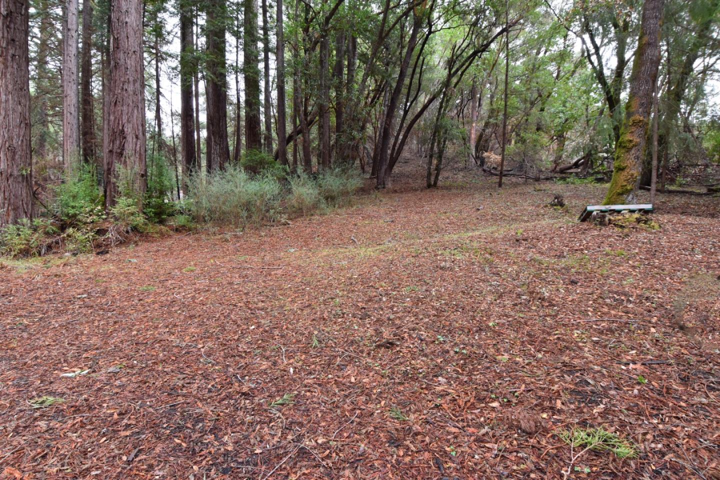 18140 China Grade Road, BOULDER CREEK, California 95006, ,Lots And Land,For Sale,China Grade Road,40963893
