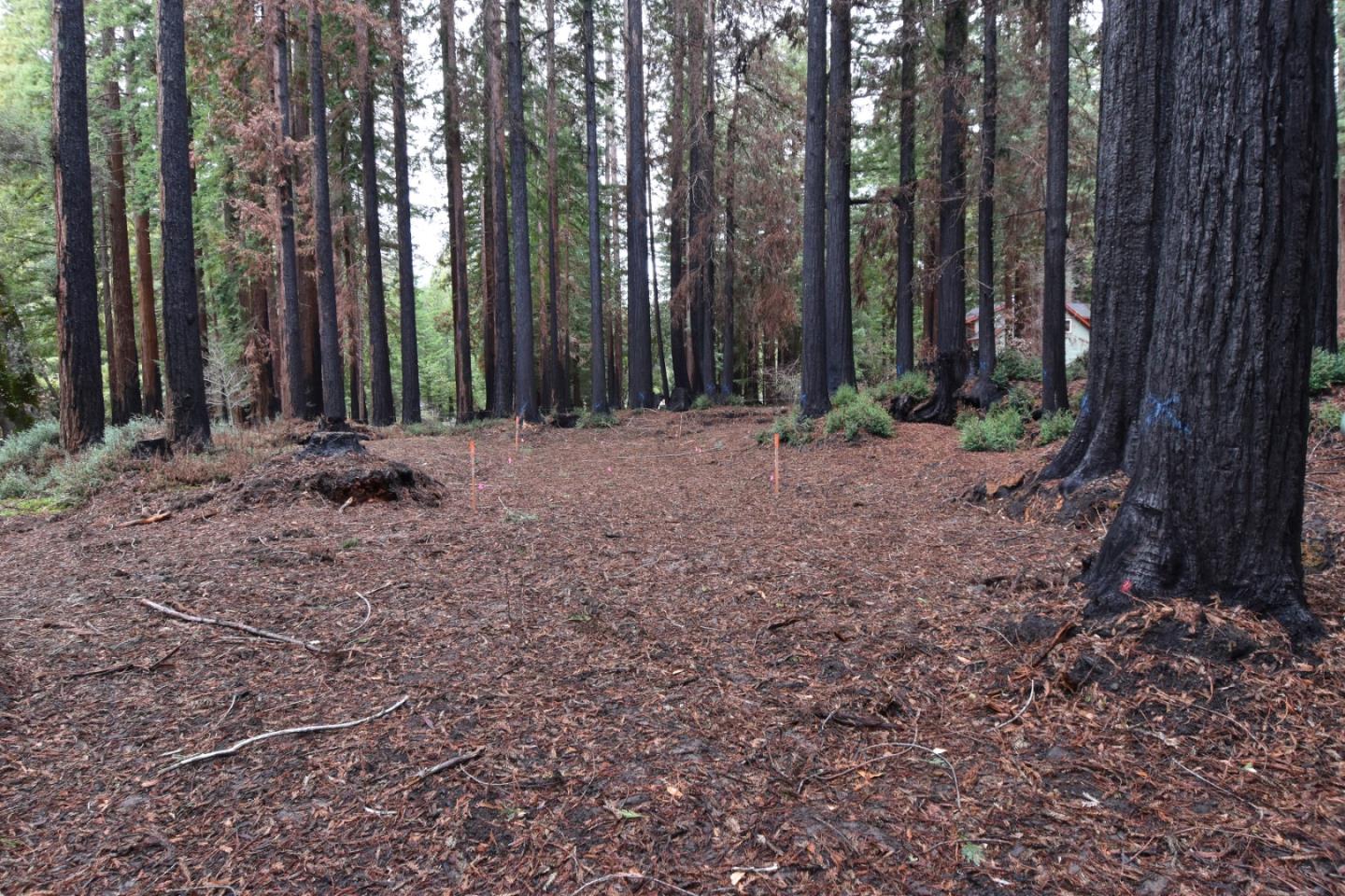 18140 China Grade Road, BOULDER CREEK, California 95006, ,Lots And Land,For Sale,China Grade Road,40963893