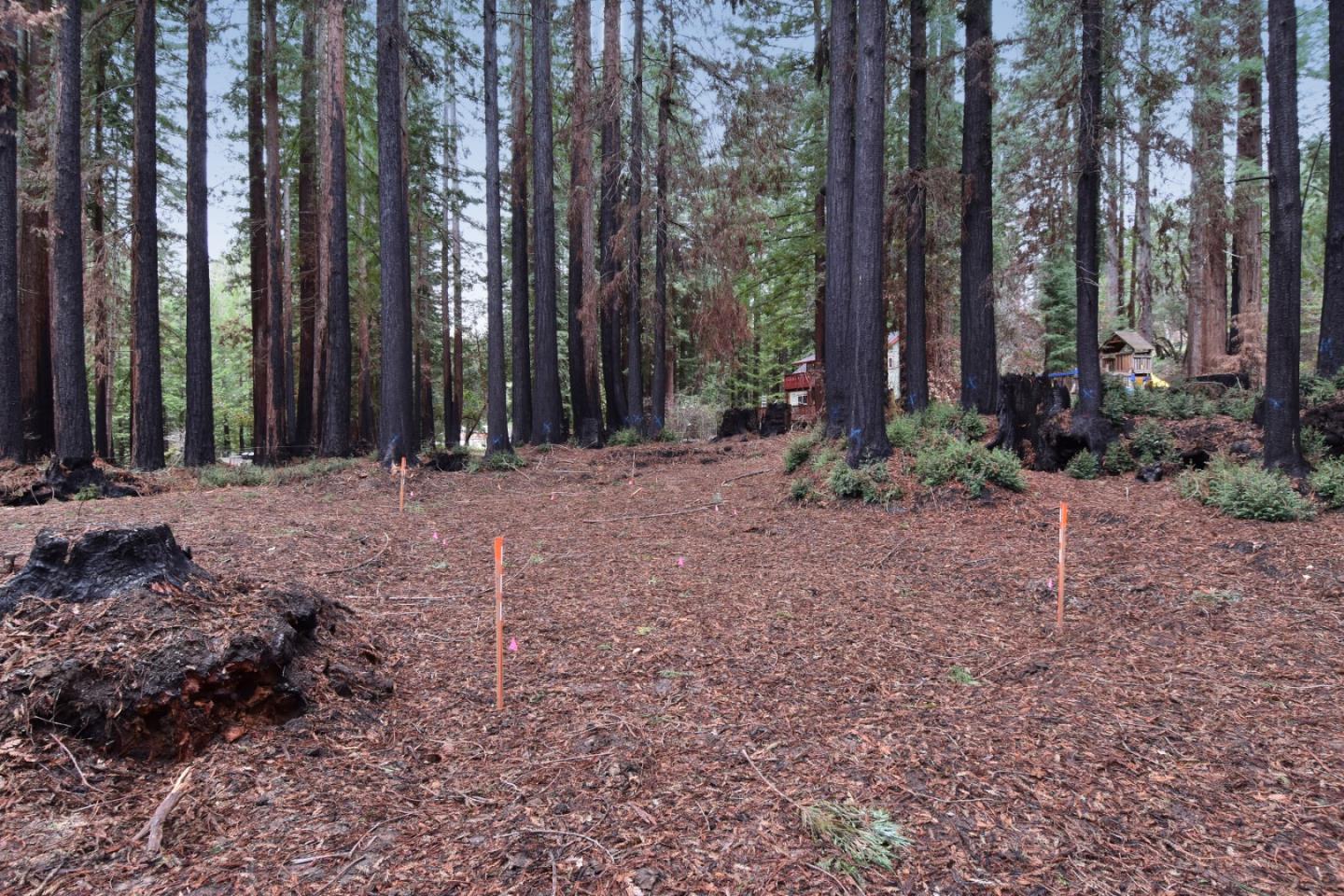 18140 China Grade Road, BOULDER CREEK, California 95006, ,Lots And Land,For Sale,China Grade Road,40963893
