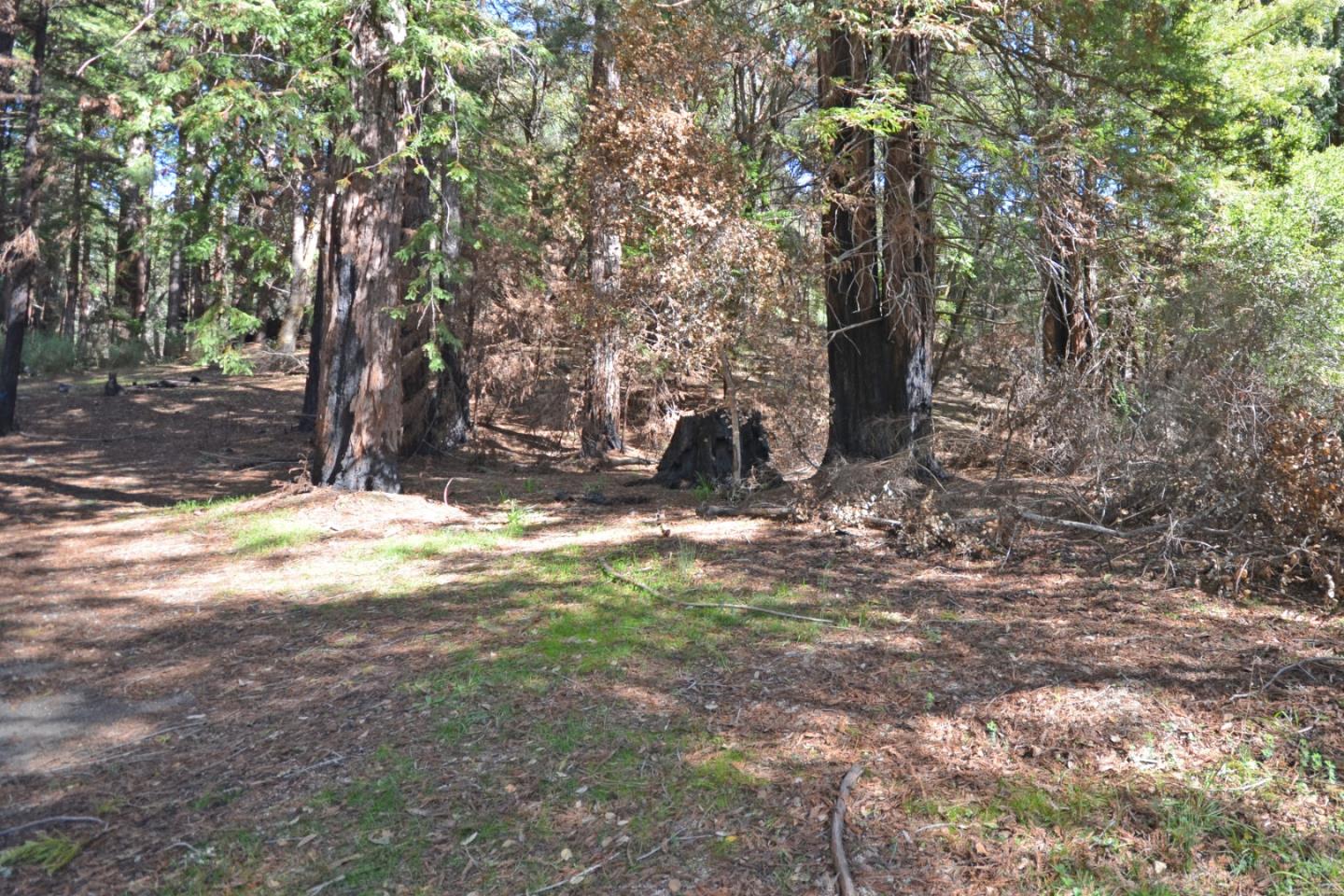18140 China Grade Road, BOULDER CREEK, California 95006, ,Lots And Land,For Sale,China Grade Road,40963893