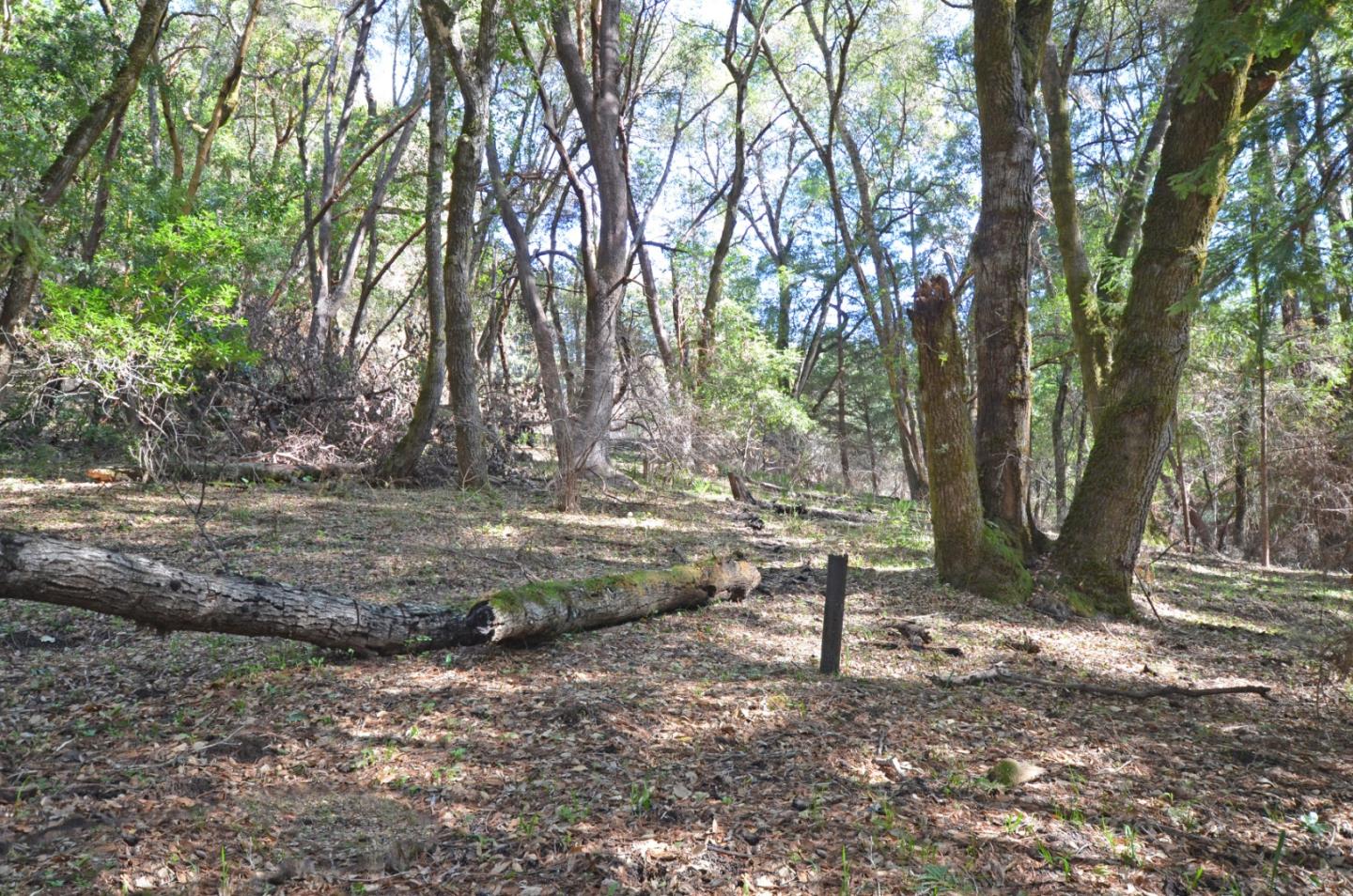 18140 China Grade Road, BOULDER CREEK, California 95006, ,Lots And Land,For Sale,China Grade Road,40963893