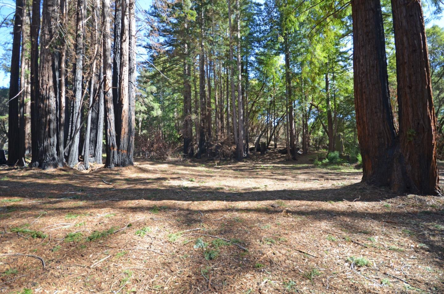 18140 China Grade Road, BOULDER CREEK, California 95006, ,Lots And Land,For Sale,China Grade Road,40963893