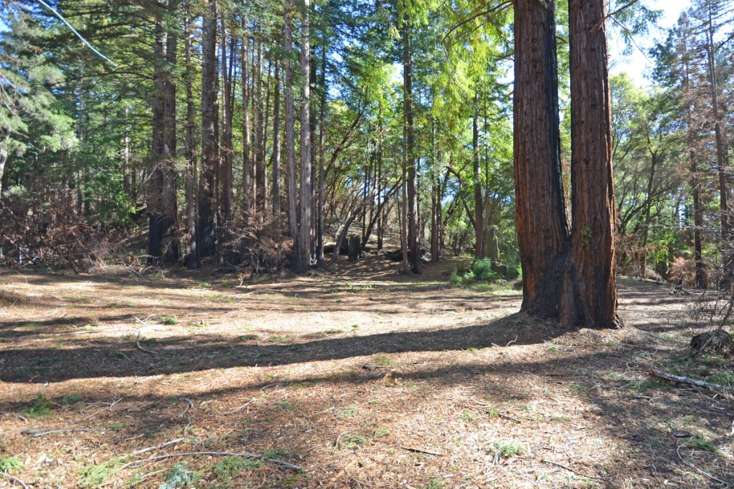 18140 China Grade Road, BOULDER CREEK, California 95006, ,Lots And Land,For Sale,China Grade Road,40963893
