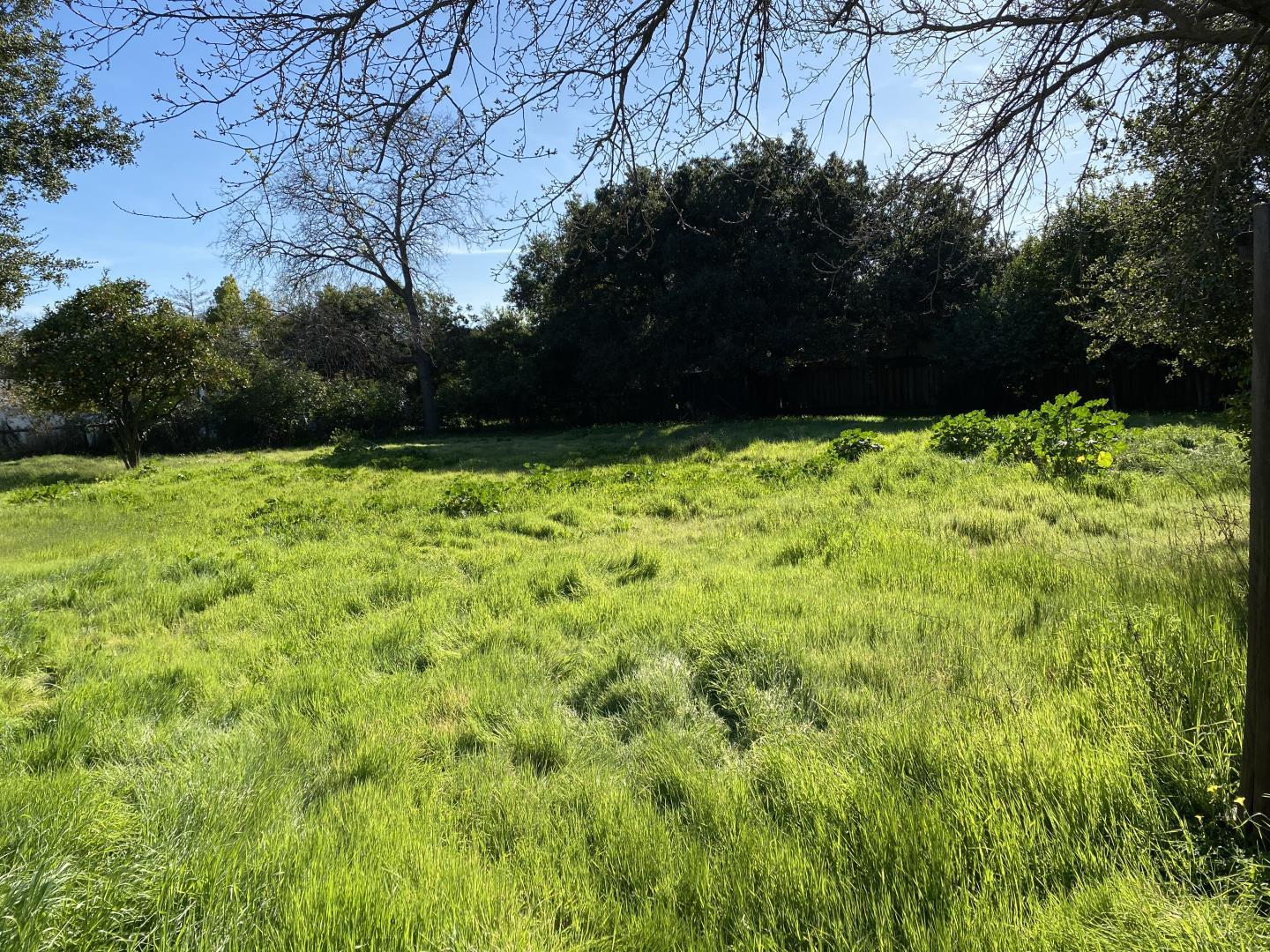 1440 Westmont Avenue, CAMPBELL, California 95008, ,Lots And Land,For Sale,Westmont Avenue,40963908