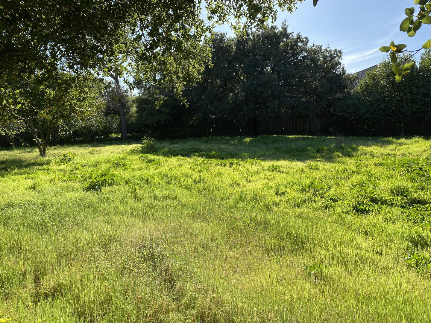 1440 Westmont Avenue, CAMPBELL, California 95008, ,Lots And Land,For Sale,Westmont Avenue,40963908