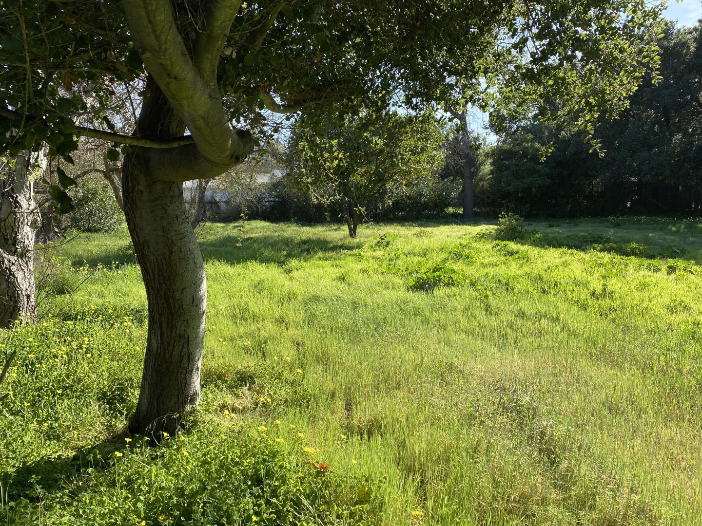 1440 Westmont Avenue, CAMPBELL, California 95008, ,Lots And Land,For Sale,Westmont Avenue,40963908