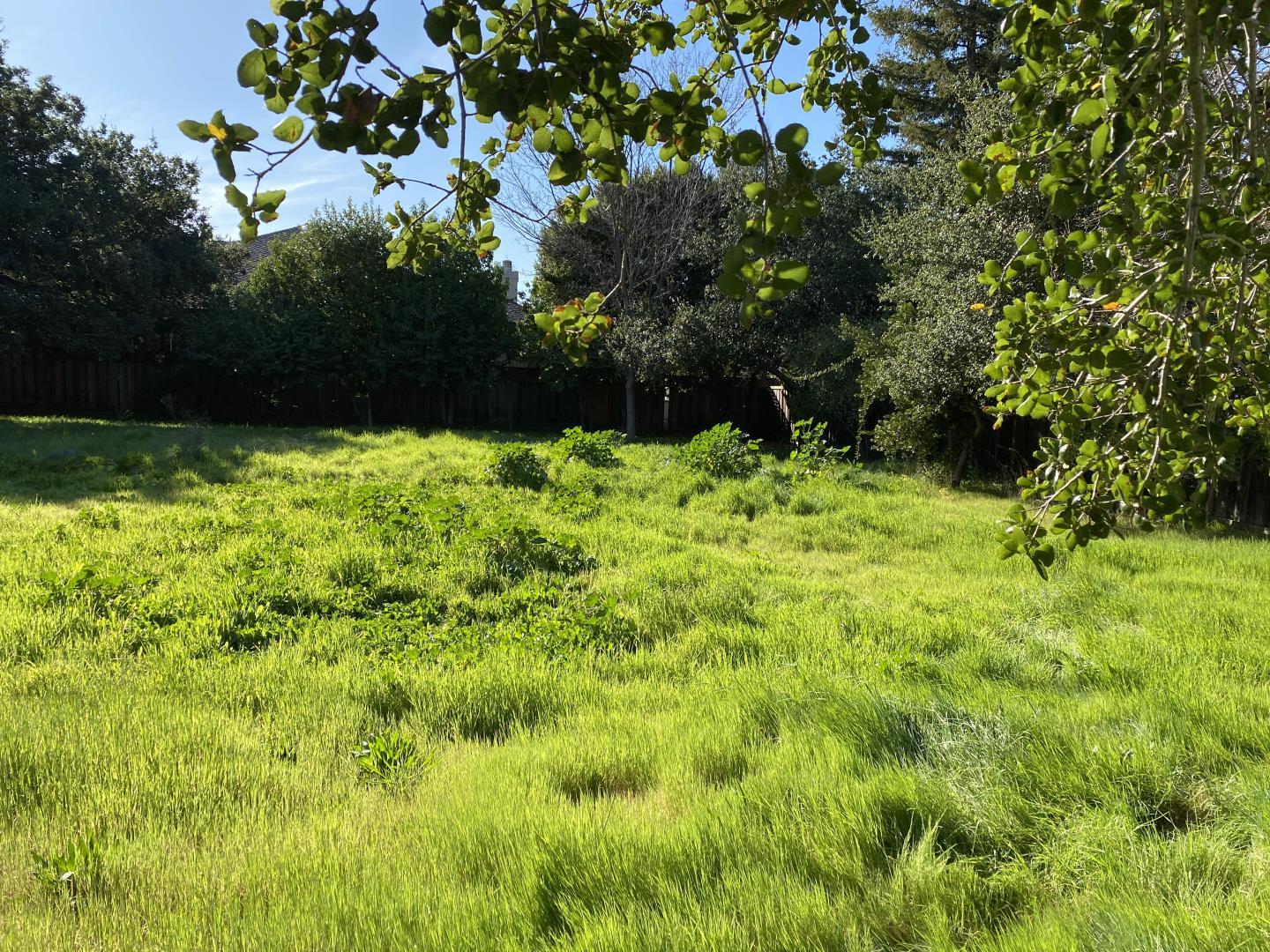 1440 Westmont Avenue, CAMPBELL, California 95008, ,Lots And Land,For Sale,Westmont Avenue,40963908