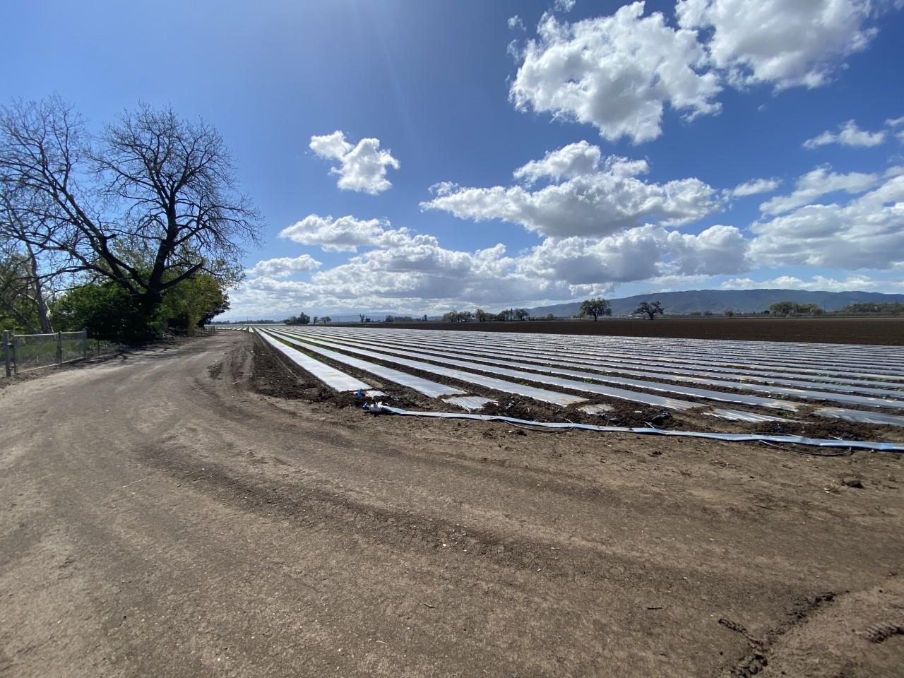 0 Marcella Avenue, GILROY, California 95020, ,Lots And Land,For Sale,Marcella Avenue,40963925