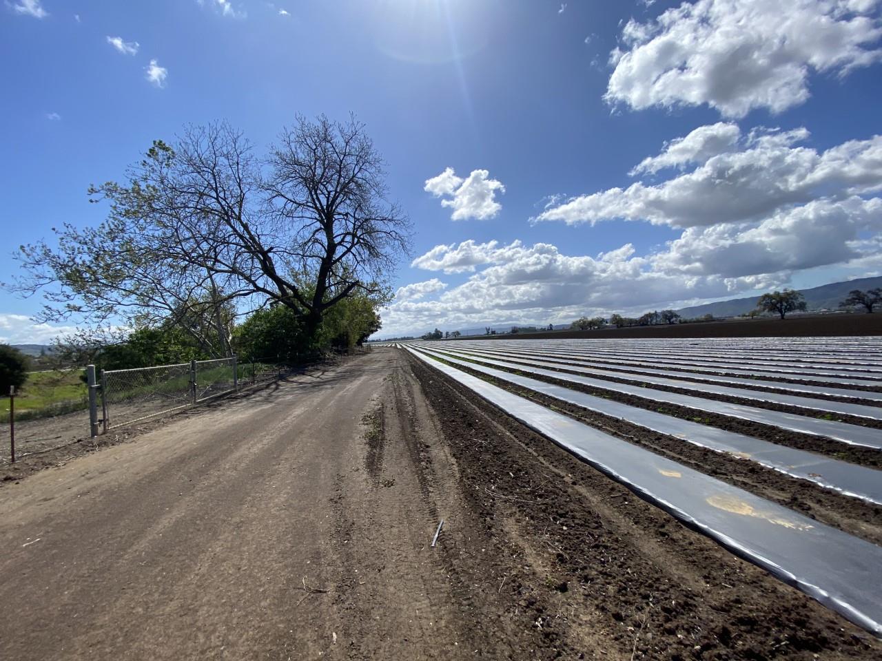 0 Marcella Avenue, GILROY, California 95020, ,Lots And Land,For Sale,Marcella Avenue,40963925
