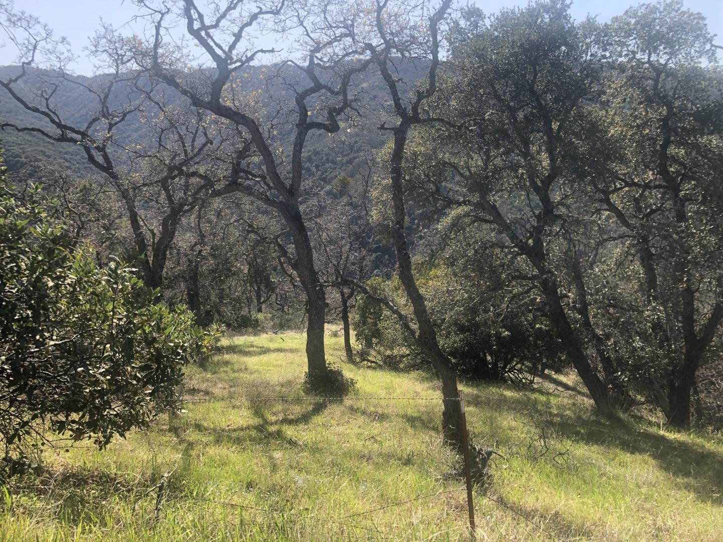 0 Lambert Flats, CARMEL VALLEY, California 93924, ,Lots And Land,For Sale,Lambert Flats,40963933