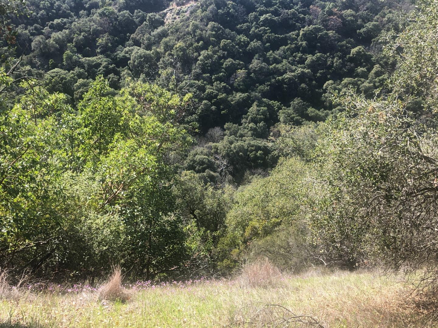 0 Lambert Flats, CARMEL VALLEY, California 93924, ,Lots And Land,For Sale,Lambert Flats,40963933