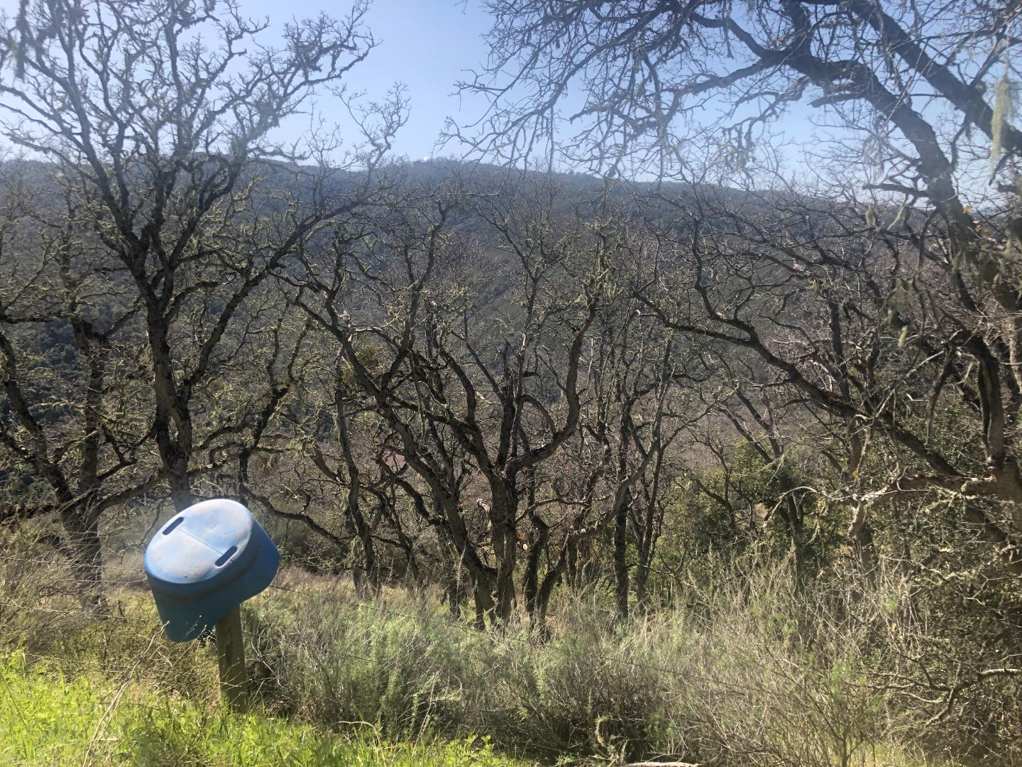 0 Lambert Flats, CARMEL VALLEY, California 93924, ,Lots And Land,For Sale,Lambert Flats,40963933