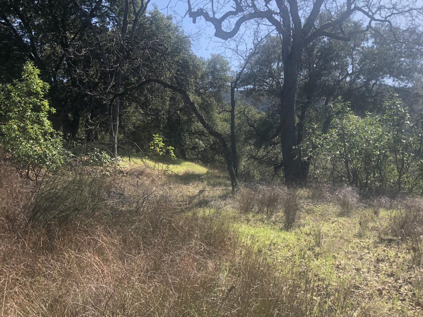 0 Lambert Flats, CARMEL VALLEY, California 93924, ,Lots And Land,For Sale,Lambert Flats,40963933