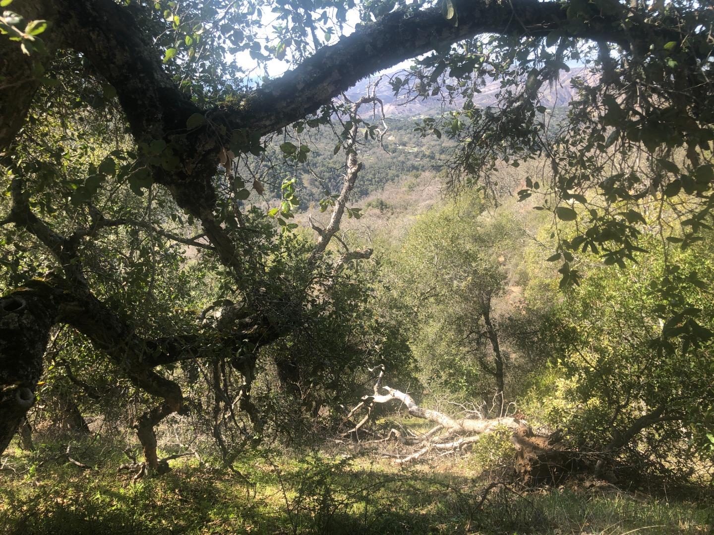 0 Lambert Flats, CARMEL VALLEY, California 93924, ,Lots And Land,For Sale,Lambert Flats,40963933