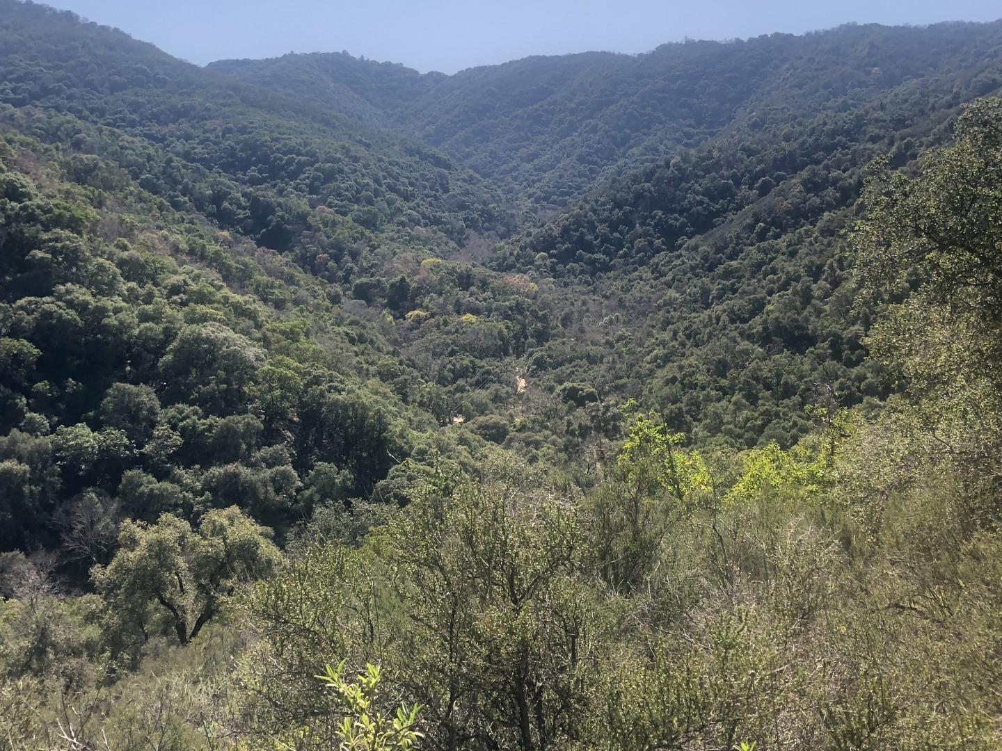 0 Lambert Flats, CARMEL VALLEY, California 93924, ,Lots And Land,For Sale,Lambert Flats,40963933