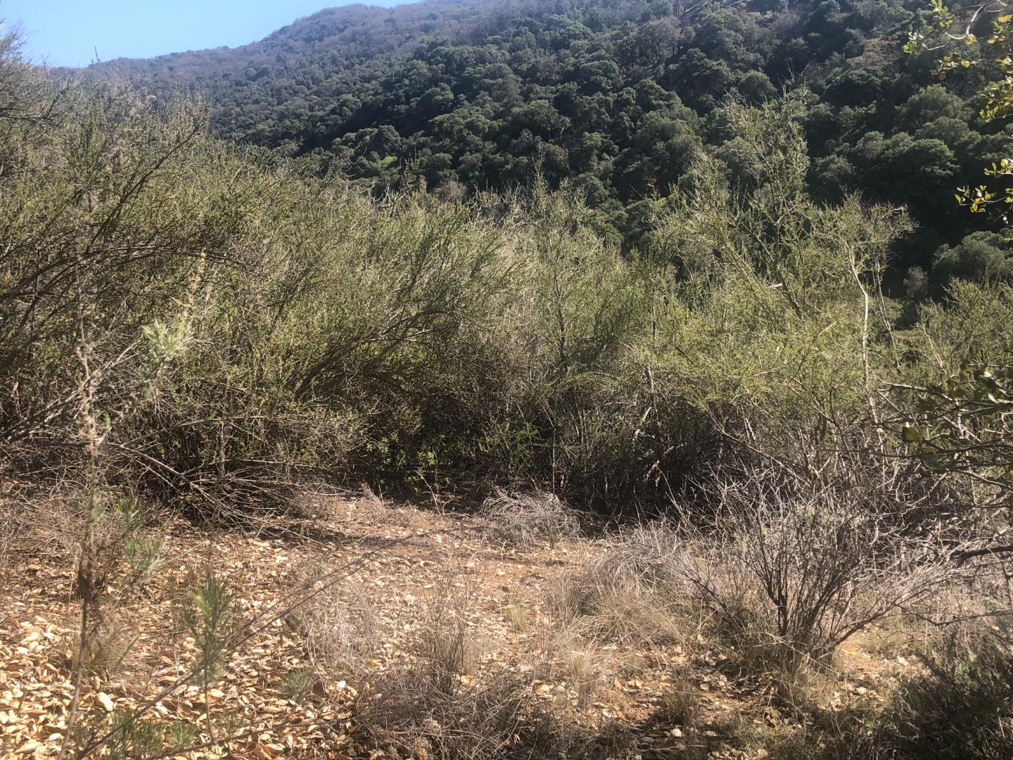 0 Lambert Flats, CARMEL VALLEY, California 93924, ,Lots And Land,For Sale,Lambert Flats,40963933