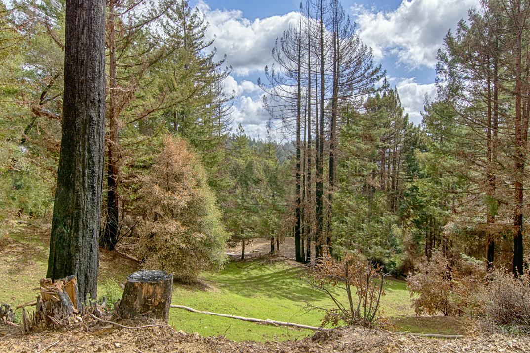 320 Everest Drive, BOULDER CREEK, California 95006, ,Lots And Land,For Sale,Everest Drive,40963940