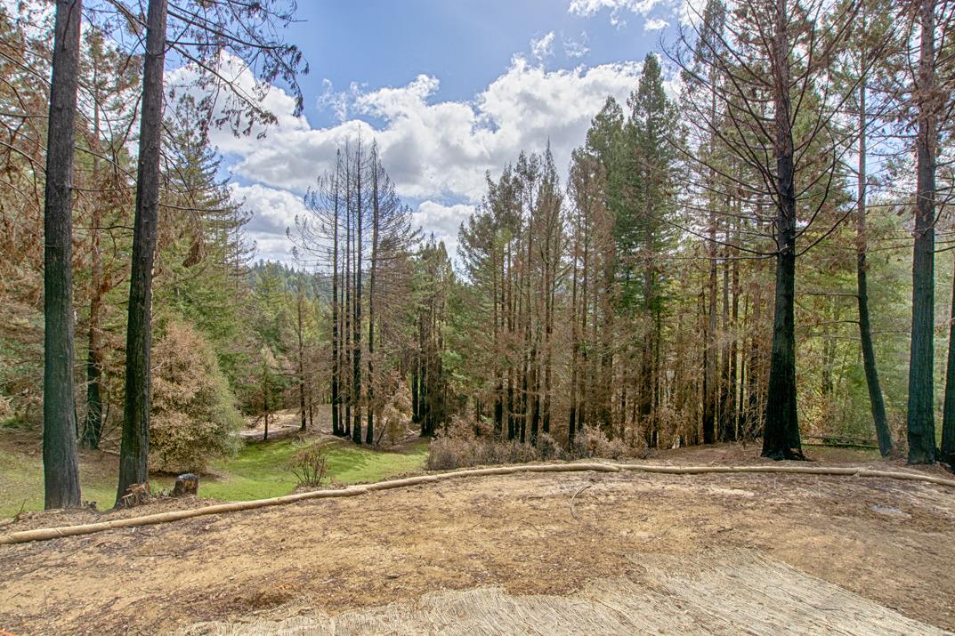 320 Everest Drive, BOULDER CREEK, California 95006, ,Lots And Land,For Sale,Everest Drive,40963940