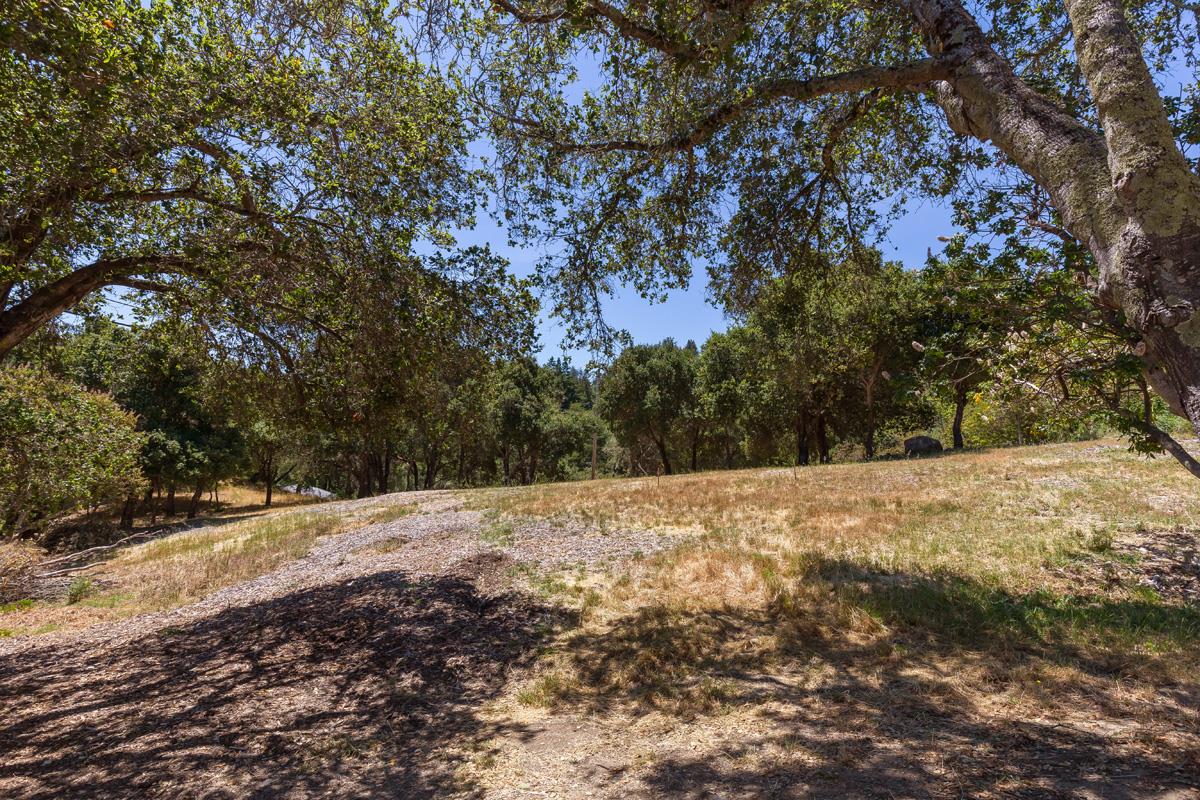 501 Wayside Road, PORTOLA VALLEY, California 94028, ,Lots And Land,For Sale,Wayside Road,40963951