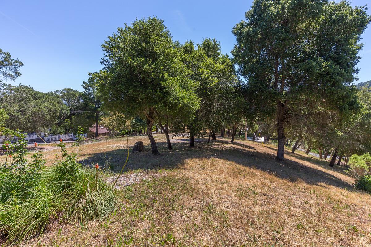501 Wayside Road, PORTOLA VALLEY, California 94028, ,Lots And Land,For Sale,Wayside Road,40963951