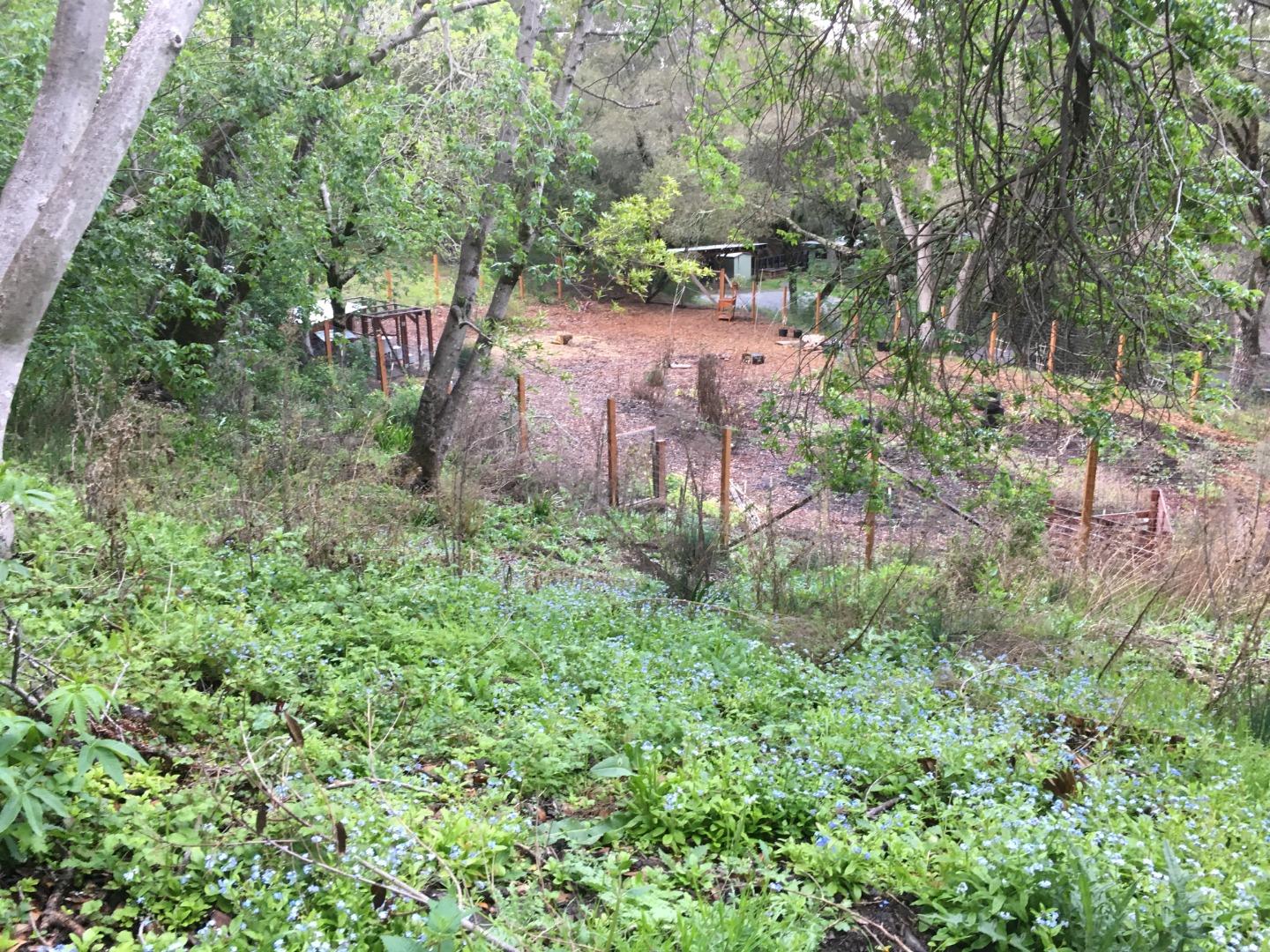 501 Wayside Road, PORTOLA VALLEY, California 94028, ,Lots And Land,For Sale,Wayside Road,40963951