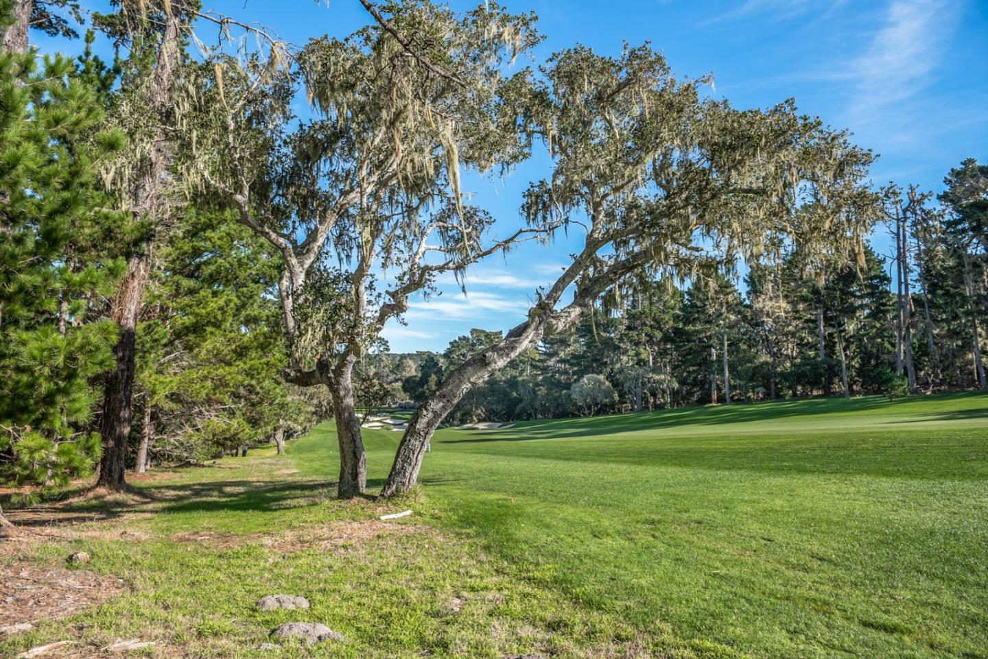 3159 Stevenson Drive, PEBBLE BEACH, California 93953, ,Lots And Land,For Sale,Stevenson Drive,40963986