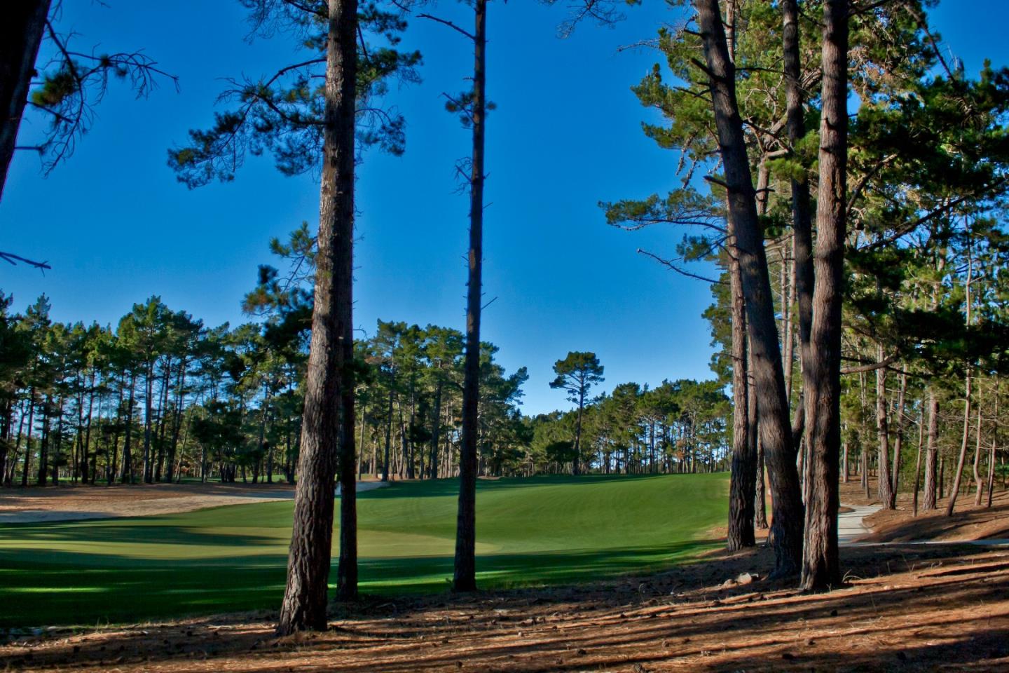 3979 Ronda Road, PEBBLE BEACH, California 93953, ,Lots And Land,For Sale,Ronda Road,40963987