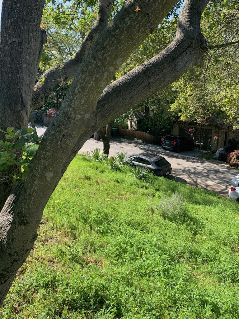 246 Taurus Avenue, OAKLAND, California 94611, ,Lots And Land,For Sale,Taurus Avenue,40964007