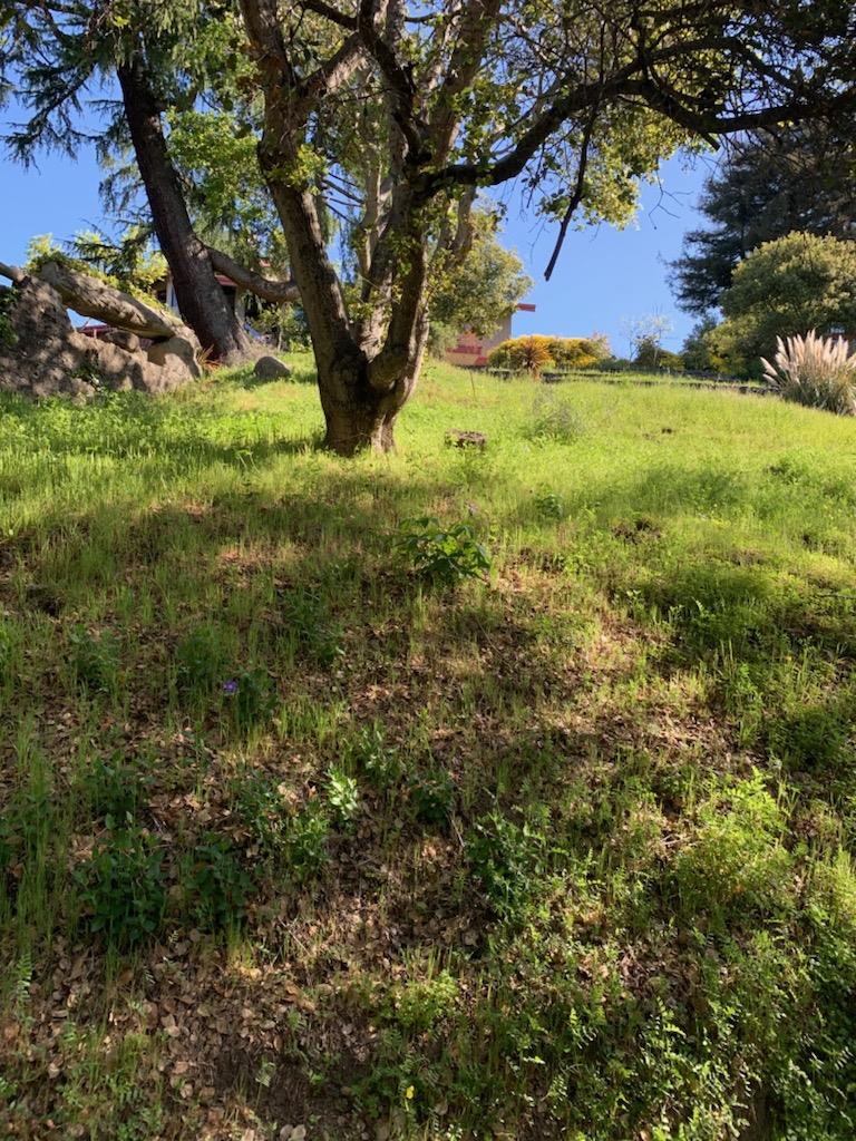 246 Taurus Avenue, OAKLAND, California 94611, ,Lots And Land,For Sale,Taurus Avenue,40964007