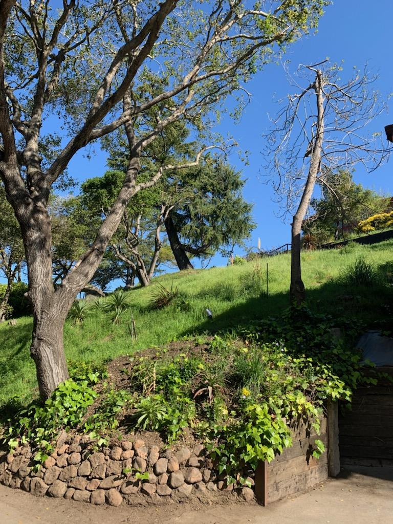 246 Taurus Avenue, OAKLAND, California 94611, ,Lots And Land,For Sale,Taurus Avenue,40964007