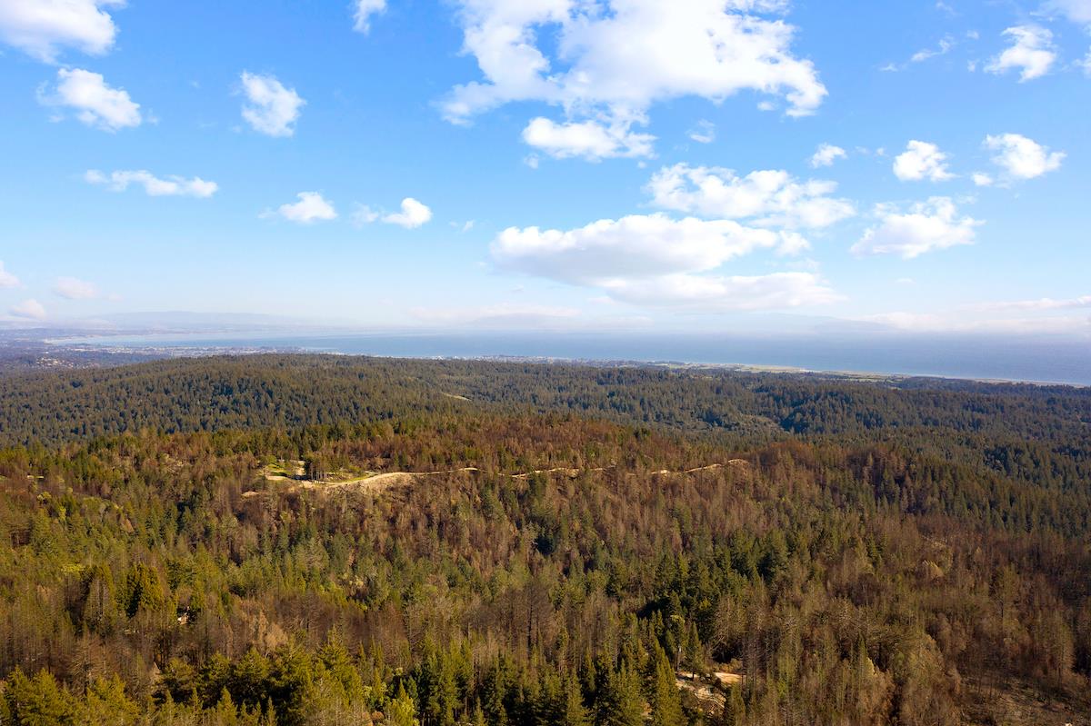 170 Cottini Way, SANTA CRUZ, California 95060, ,Lots And Land,For Sale,Cottini Way,40964021