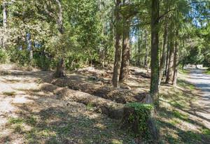 0 0 Westdale, SANTA CRUZ, California 95060, ,Lots And Land,For Sale,0 Westdale,40964033