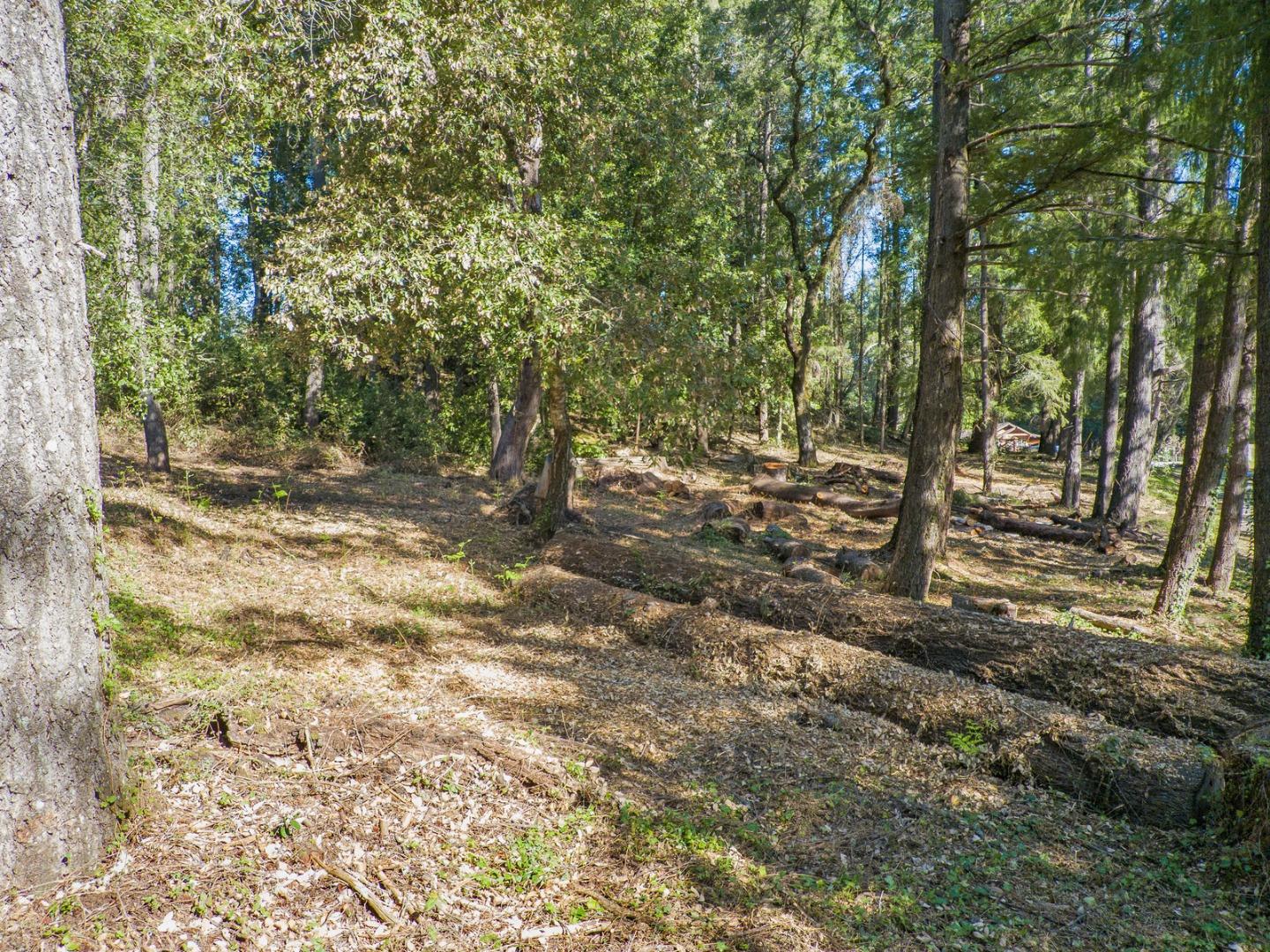 0 0 Westdale, SANTA CRUZ, California 95060, ,Lots And Land,For Sale,0 Westdale,40964033