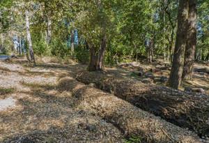 0 0 Westdale, SANTA CRUZ, California 95060, ,Lots And Land,For Sale,0 Westdale,40964033