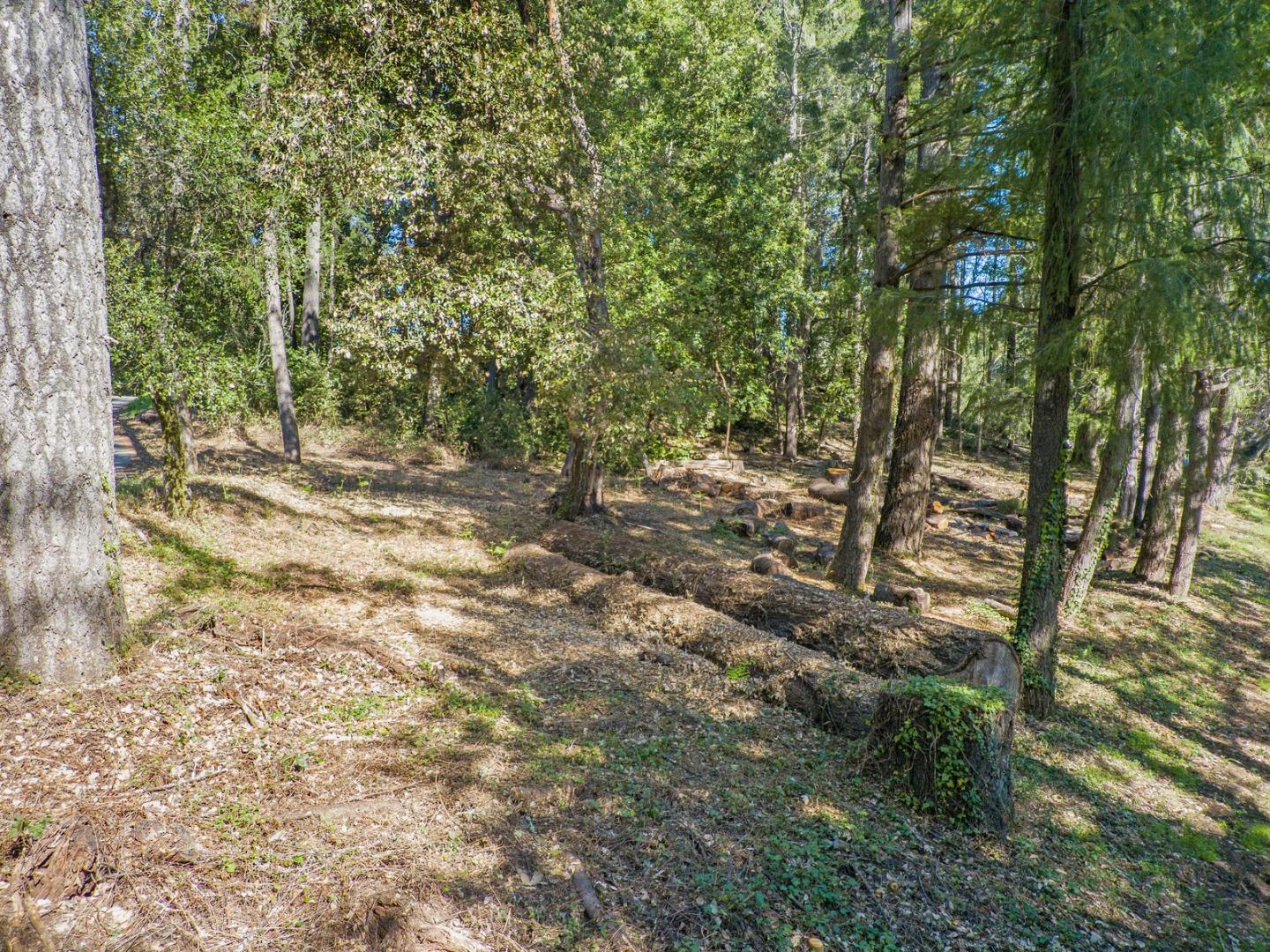 0 0 Westdale, SANTA CRUZ, California 95060, ,Lots And Land,For Sale,0 Westdale,40964033