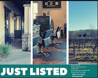 101 Vineyard Avenue, LIVERMORE, California 94550, ,Comm Business Opportunity,For Sale,Vineyard Avenue,40964037