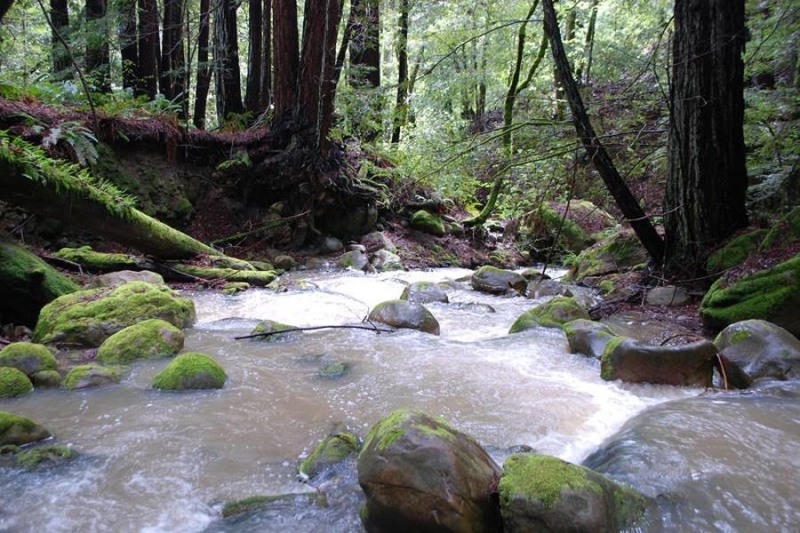 0 Little Buck Road, BOULDER CREEK, California 95006, ,Lots And Land,For Sale,Little Buck Road,40964038