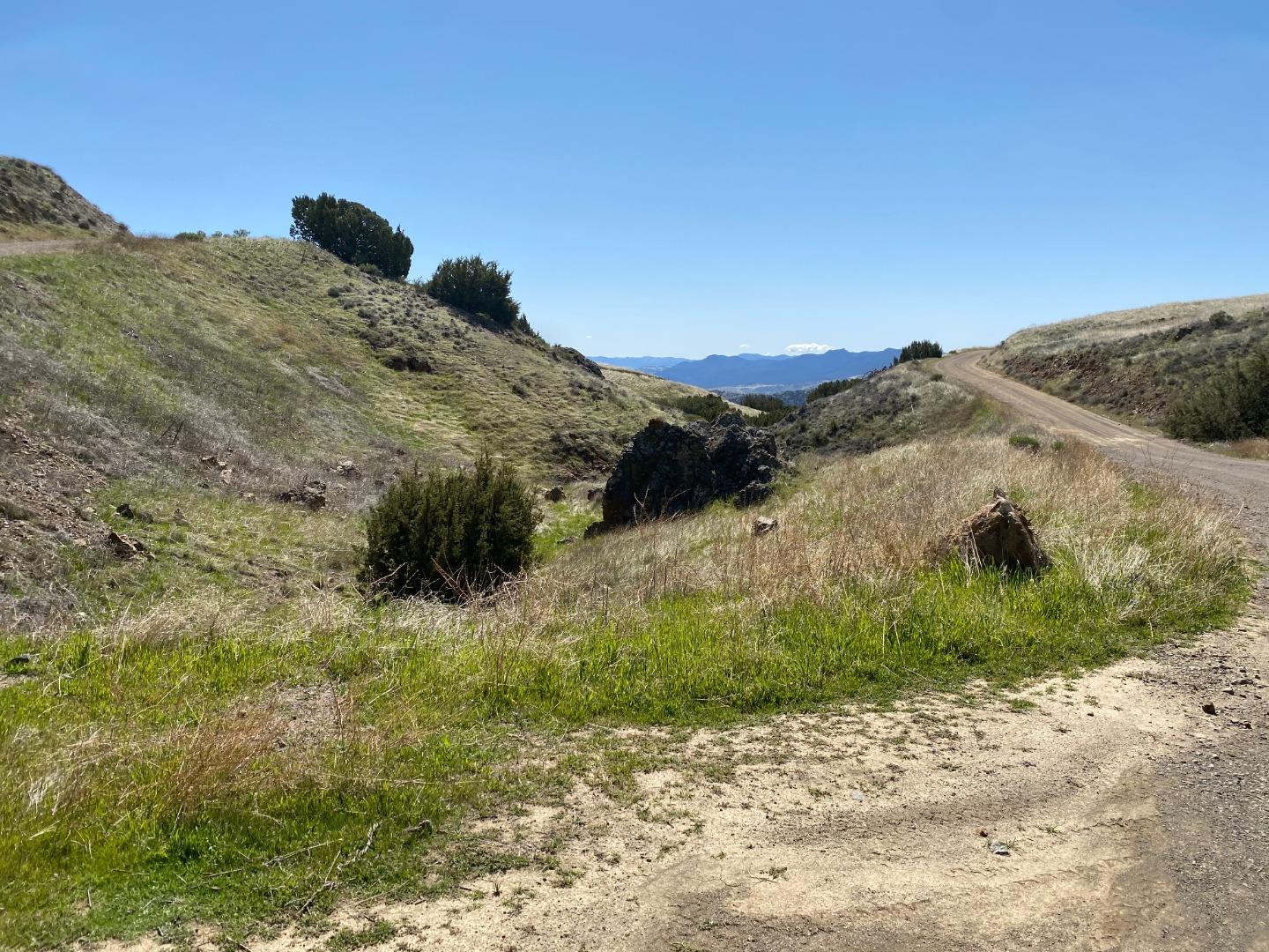 Lot 38 Panoche Road, PAICINES, California 95043, ,Lots And Land,For Sale,Panoche Road,40964069