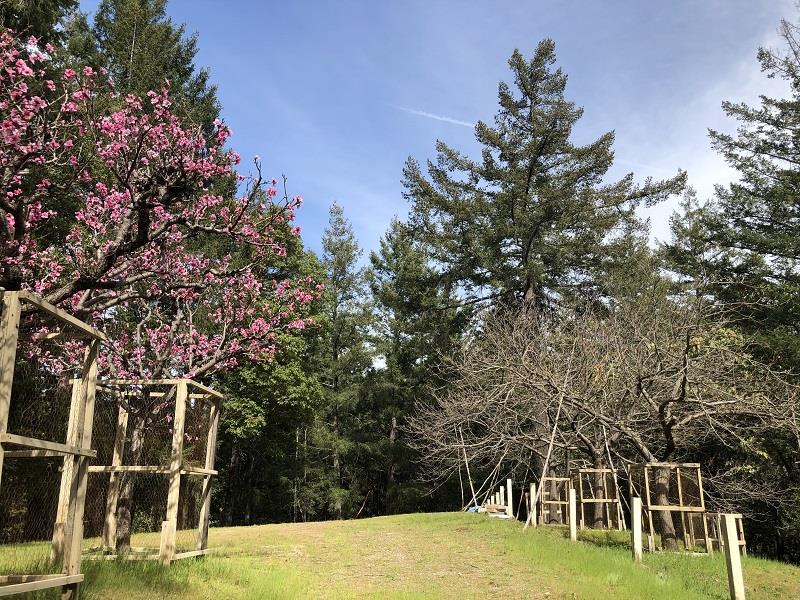 0 DEER CREEK, BOULDER CREEK, California 95006, ,Lots And Land,For Sale,DEER CREEK,40964071