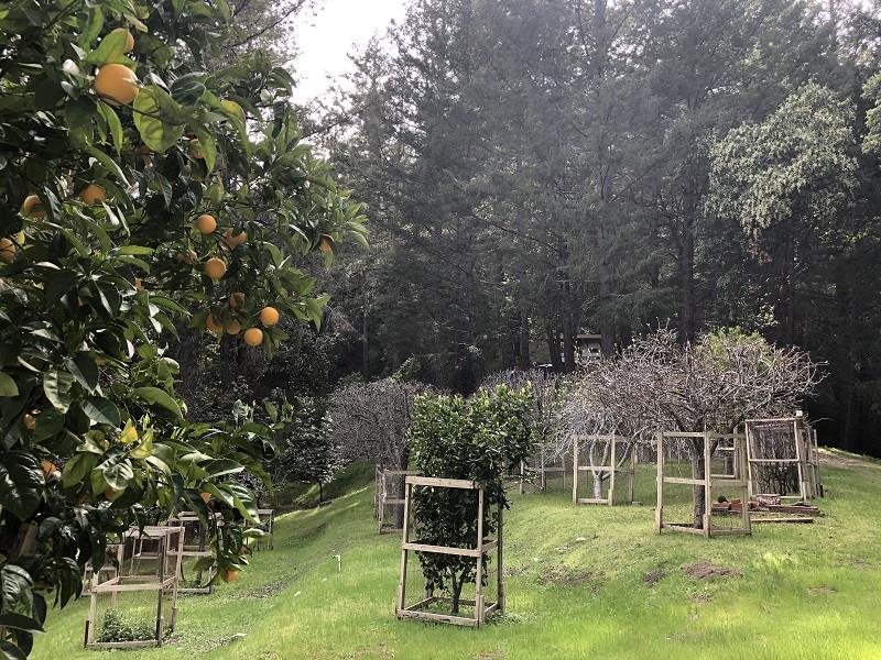0 DEER CREEK, BOULDER CREEK, California 95006, ,Lots And Land,For Sale,DEER CREEK,40964071