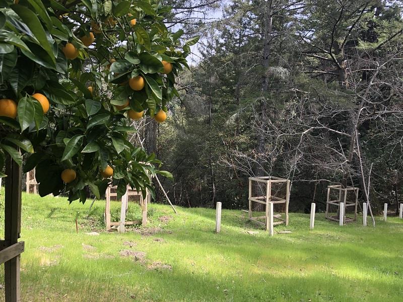 0 DEER CREEK, BOULDER CREEK, California 95006, ,Lots And Land,For Sale,DEER CREEK,40964071