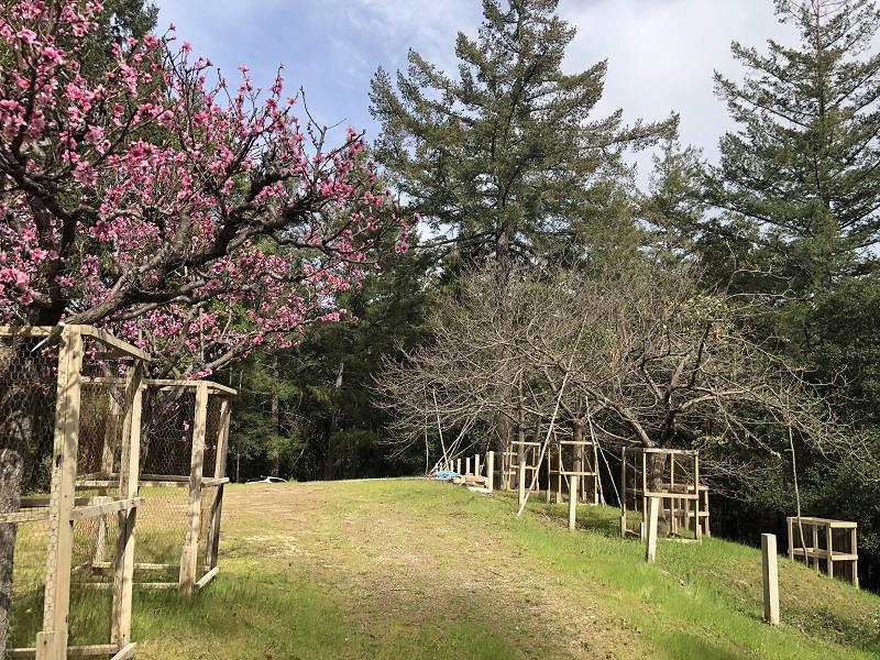 0 DEER CREEK, BOULDER CREEK, California 95006, ,Lots And Land,For Sale,DEER CREEK,40964071