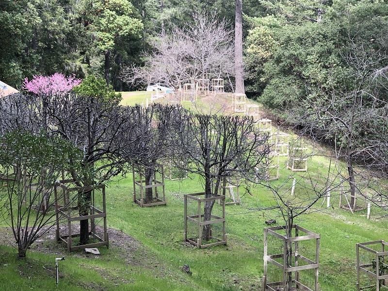 0 DEER CREEK, BOULDER CREEK, California 95006, ,Lots And Land,For Sale,DEER CREEK,40964071