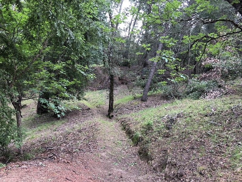0 DEER CREEK, BOULDER CREEK, California 95006, ,Lots And Land,For Sale,DEER CREEK,40964071