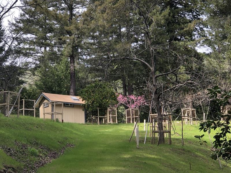 0 DEER CREEK, BOULDER CREEK, California 95006, ,Lots And Land,For Sale,DEER CREEK,40964071