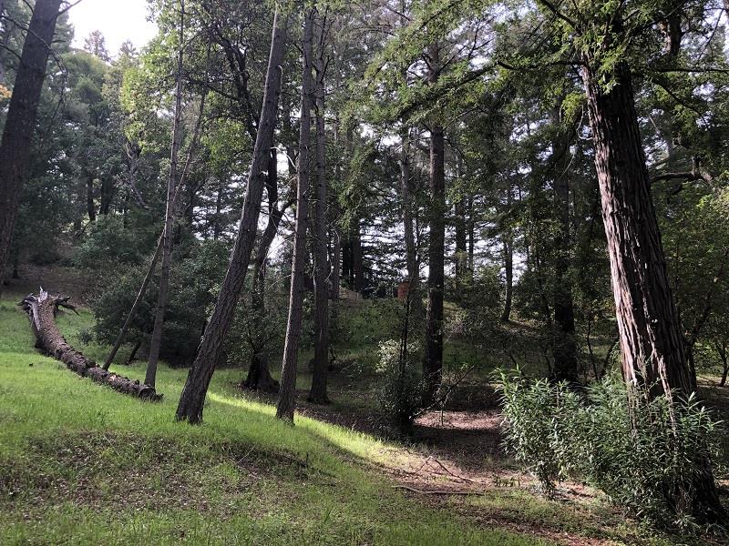 0 DEER CREEK, BOULDER CREEK, California 95006, ,Lots And Land,For Sale,DEER CREEK,40964071