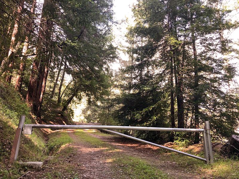 0 DEER CREEK, BOULDER CREEK, California 95006, ,Lots And Land,For Sale,DEER CREEK,40964071